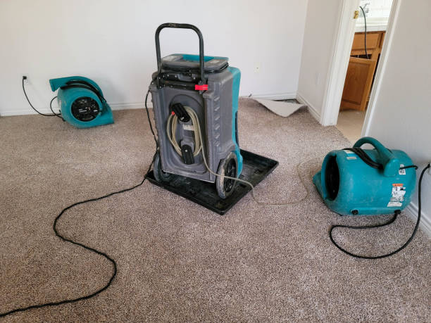 Best Local water damage restoration  in Hartshorne, OK