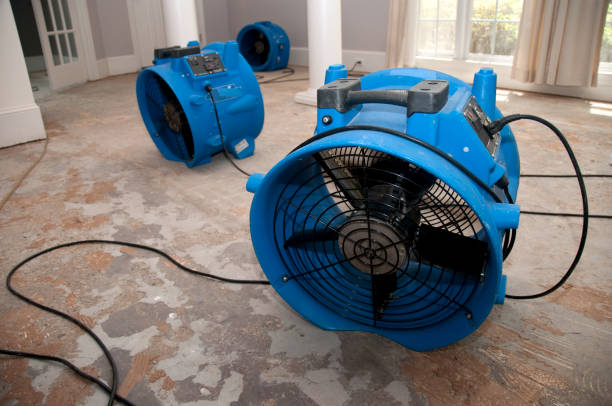 Best Professional water damage repair  in Hartshorne, OK