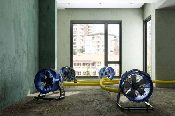 Best 24-hour water damage restoration  in Hartshorne, OK