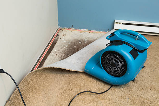 24/7 water damage repair in Hartshorne, OK